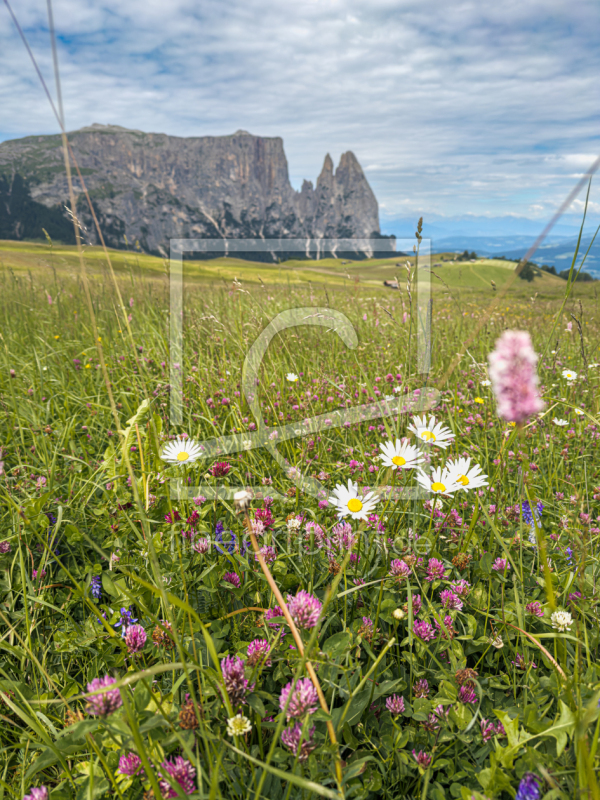 frei w&auml;hlbarer Bildausschnitt f&uuml;r Ihr Bild auf Kissen