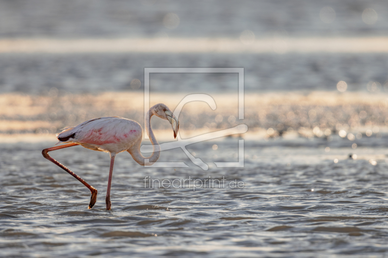 frei w&auml;hlbarer Bildausschnitt f&uuml;r Ihr Bild auf Kissen