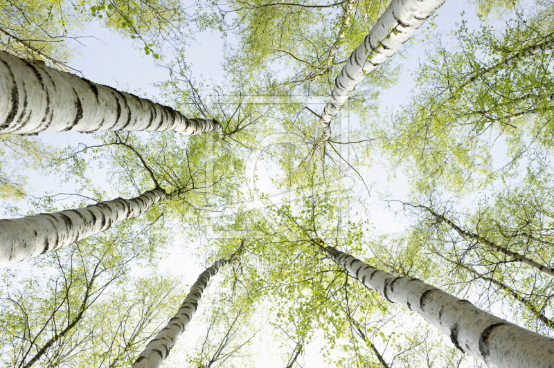frei w&auml;hlbarer Bildausschnitt f&uuml;r Ihr Bild auf Kissen
