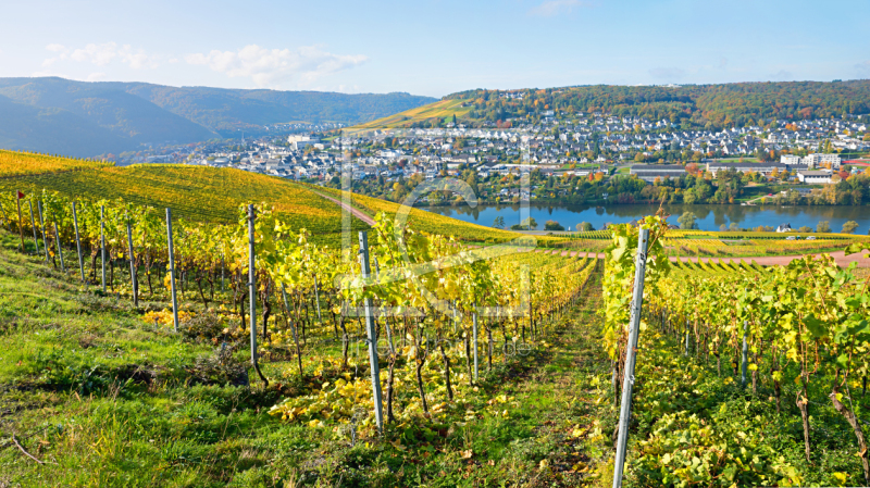 frei w&auml;hlbarer Bildausschnitt f&uuml;r Ihr Bild auf Kissen