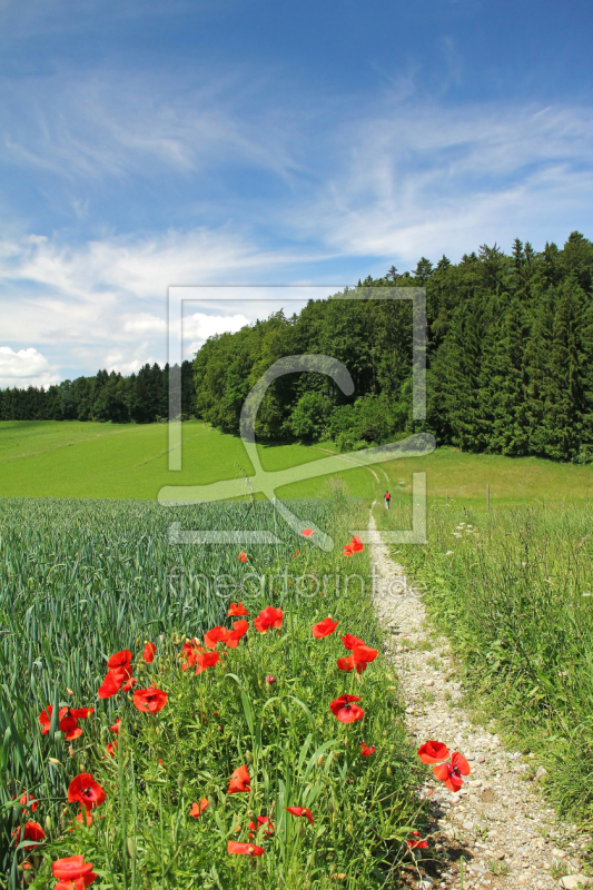 frei wählbarer Bildausschnitt für Ihr Bild auf Label