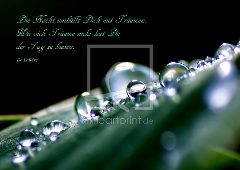 frei w&auml;hlbarer Bildausschnitt f&uuml;r Ihr Bild auf Label