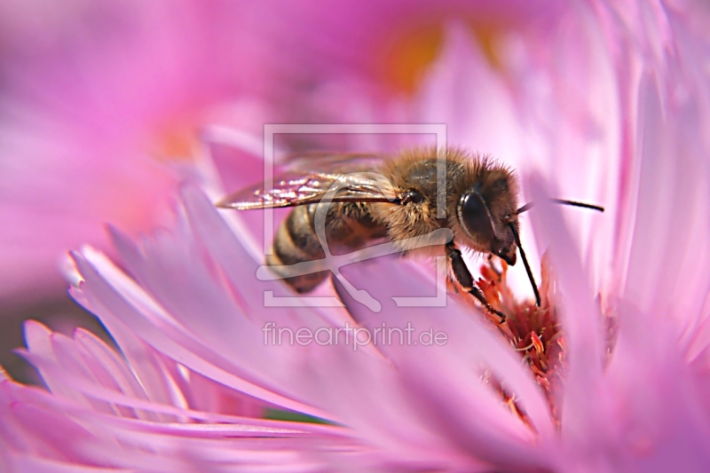 frei w&auml;hlbarer Bildausschnitt f&uuml;r Ihr Bild auf Label