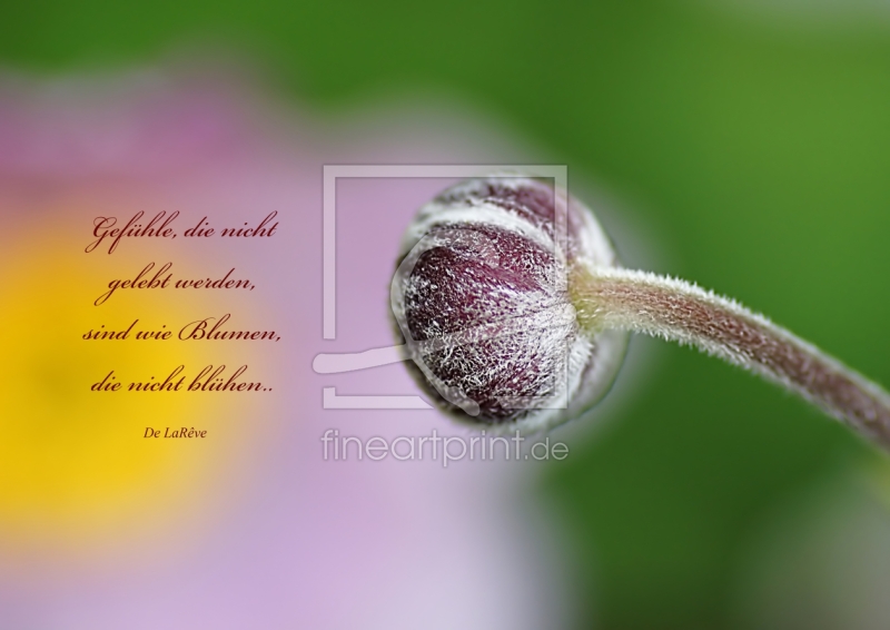 frei w&auml;hlbarer Bildausschnitt f&uuml;r Ihr Bild auf Label