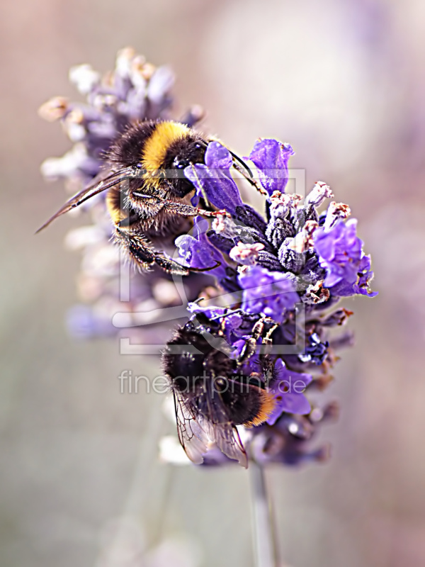 frei w&auml;hlbarer Bildausschnitt f&uuml;r Ihr Bild auf Label