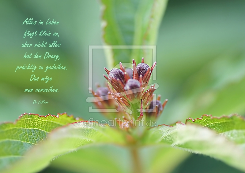 frei w&auml;hlbarer Bildausschnitt f&uuml;r Ihr Bild auf Label