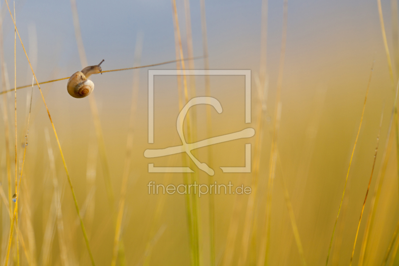 frei w&auml;hlbarer Bildausschnitt f&uuml;r Ihr Bild auf Label