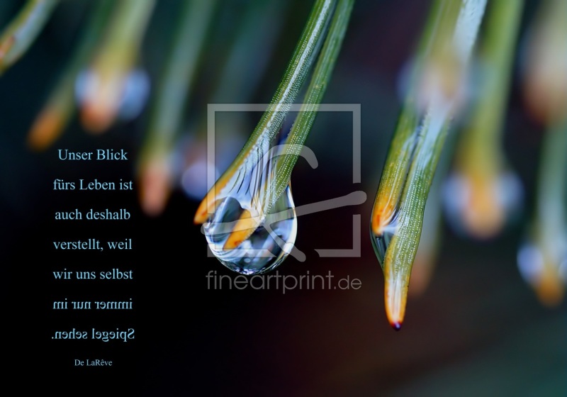 frei w&auml;hlbarer Bildausschnitt f&uuml;r Ihr Bild auf Label