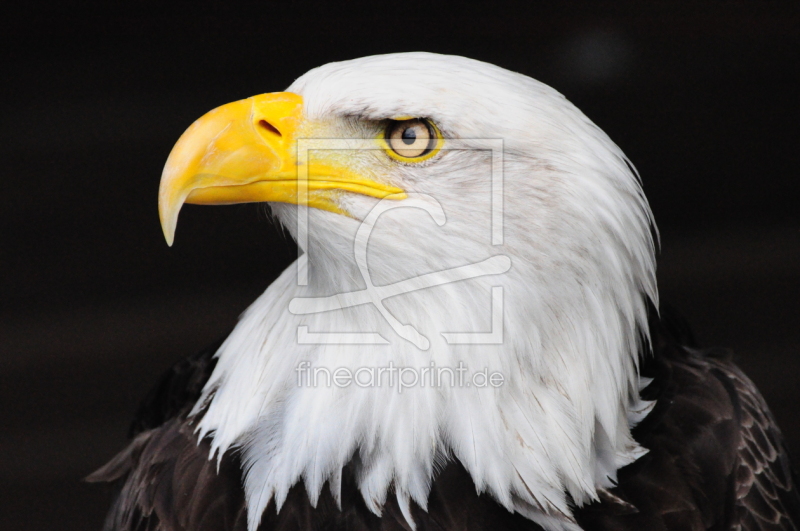 frei w&auml;hlbarer Bildausschnitt f&uuml;r Ihr Bild auf Label