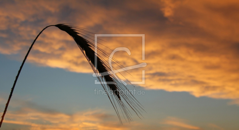 frei w&auml;hlbarer Bildausschnitt f&uuml;r Ihr Bild auf Label