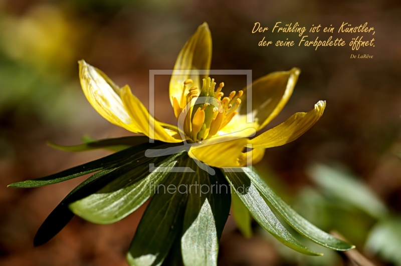 frei w&auml;hlbarer Bildausschnitt f&uuml;r Ihr Bild auf Label