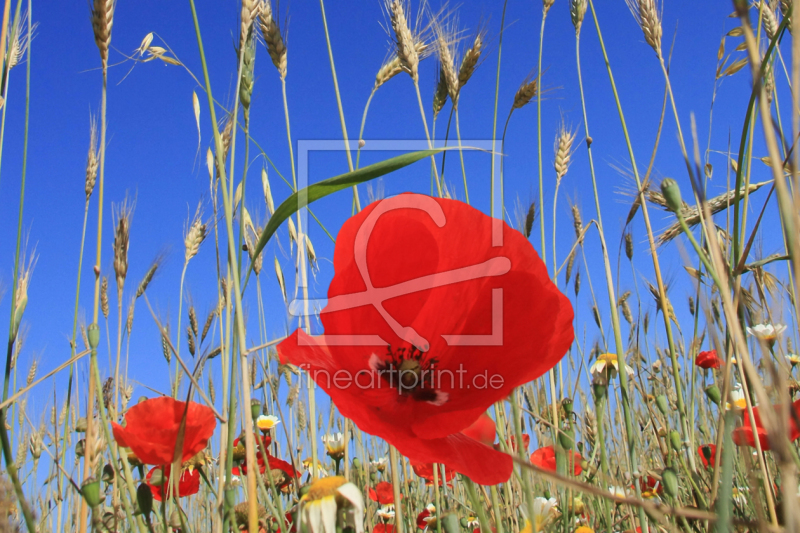 frei w&auml;hlbarer Bildausschnitt f&uuml;r Ihr Bild auf Label