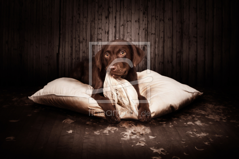 frei w&auml;hlbarer Bildausschnitt f&uuml;r Ihr Bild auf Label