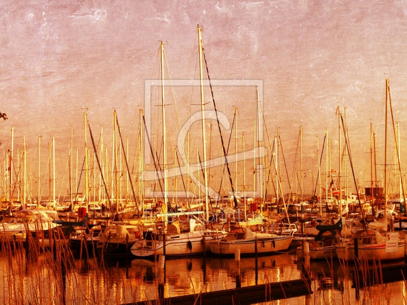 frei w&auml;hlbarer Bildausschnitt f&uuml;r Ihr Bild auf Label