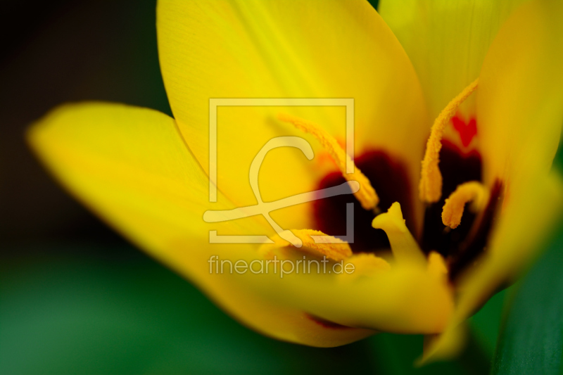 frei w&auml;hlbarer Bildausschnitt f&uuml;r Ihr Bild auf Label