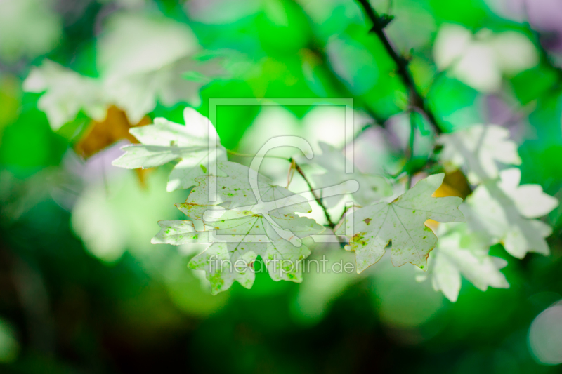 frei w&auml;hlbarer Bildausschnitt f&uuml;r Ihr Bild auf Label