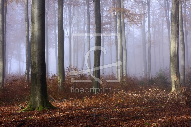 frei w&auml;hlbarer Bildausschnitt f&uuml;r Ihr Bild auf Label