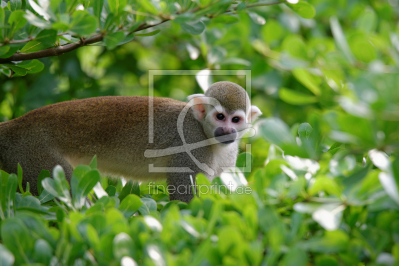 frei w&auml;hlbarer Bildausschnitt f&uuml;r Ihr Bild auf Label