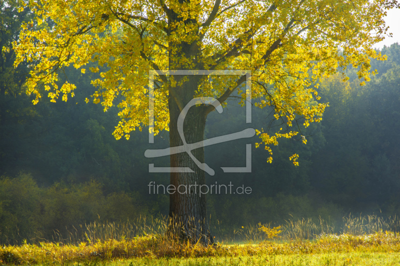 frei w&auml;hlbarer Bildausschnitt f&uuml;r Ihr Bild auf Label