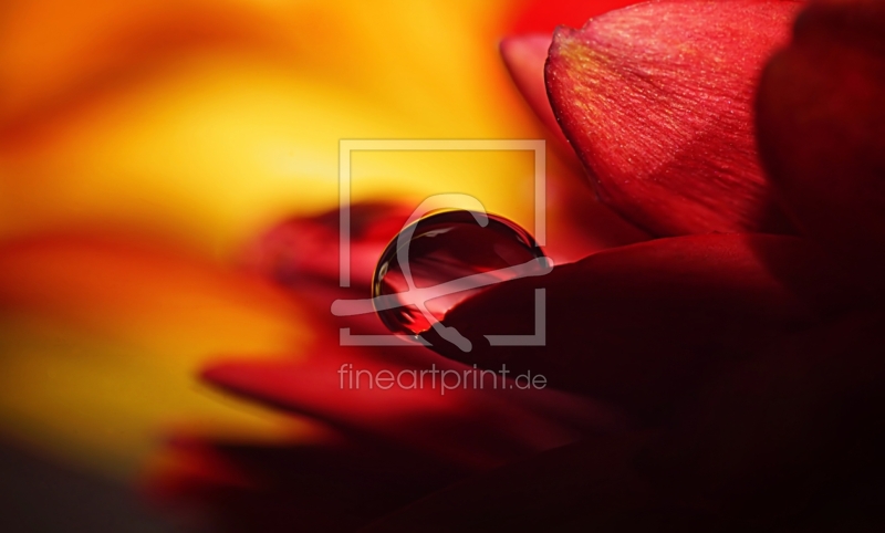 frei w&auml;hlbarer Bildausschnitt f&uuml;r Ihr Bild auf Label