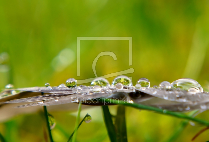 frei wählbarer Bildausschnitt für Ihr Bild auf Label