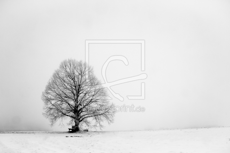 frei w&auml;hlbarer Bildausschnitt f&uuml;r Ihr Bild auf Label