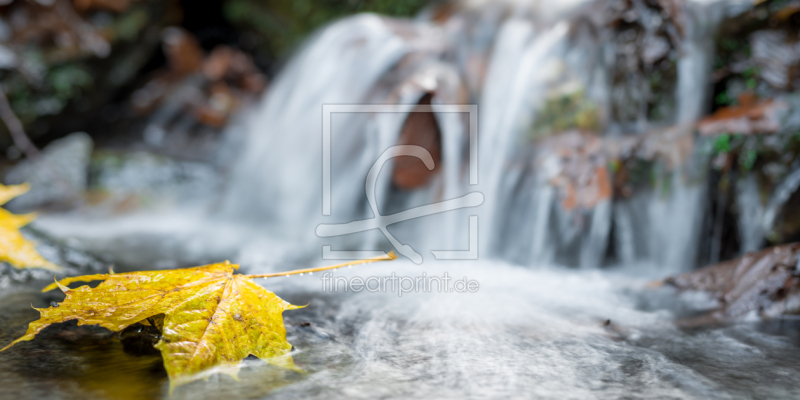 frei w&auml;hlbarer Bildausschnitt f&uuml;r Ihr Bild auf Label