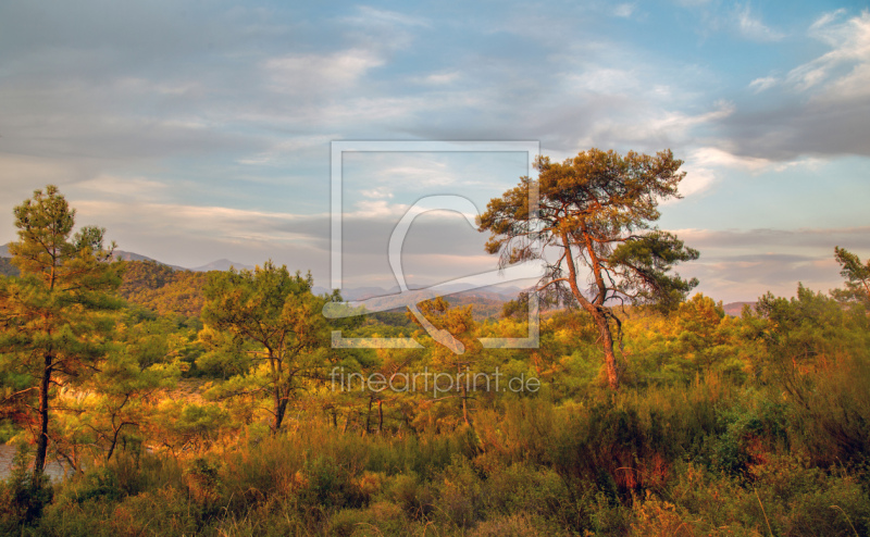 frei w&auml;hlbarer Bildausschnitt f&uuml;r Ihr Bild auf Label