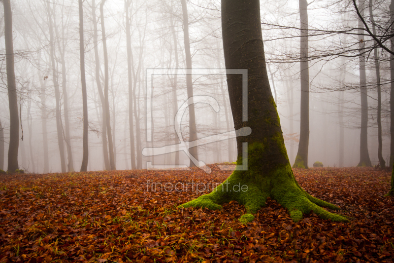 frei w&auml;hlbarer Bildausschnitt f&uuml;r Ihr Bild auf Label