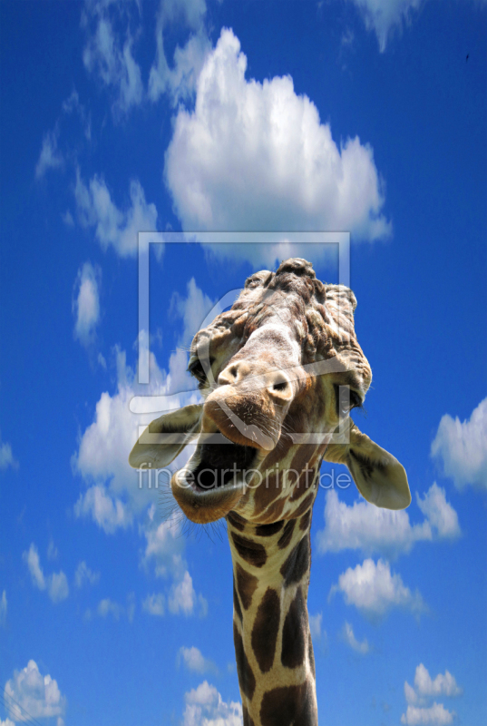 frei w&auml;hlbarer Bildausschnitt f&uuml;r Ihr Bild auf Label