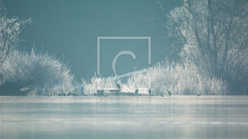 frei w&auml;hlbarer Bildausschnitt f&uuml;r Ihr Bild auf Label