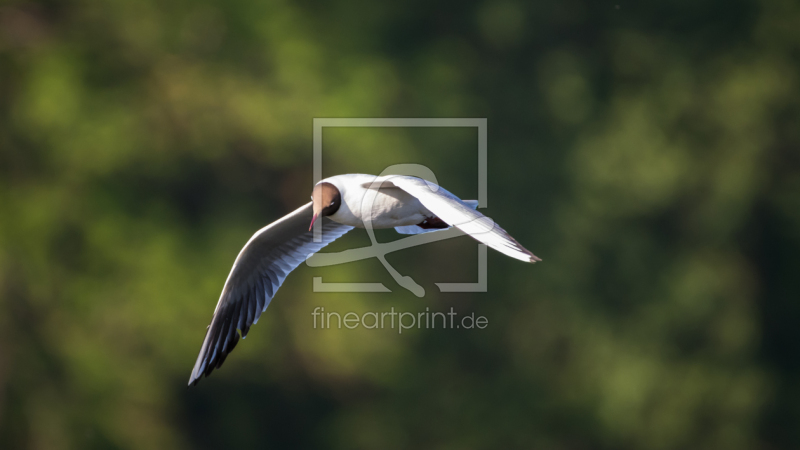 frei w&auml;hlbarer Bildausschnitt f&uuml;r Ihr Bild auf Label