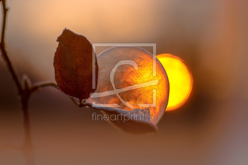 frei w&auml;hlbarer Bildausschnitt f&uuml;r Ihr Bild auf Label