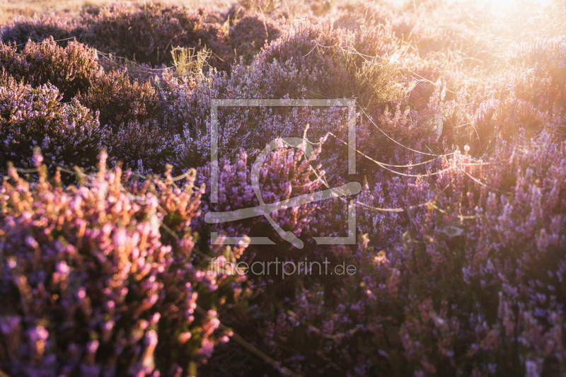 frei w&auml;hlbarer Bildausschnitt f&uuml;r Ihr Bild auf Label