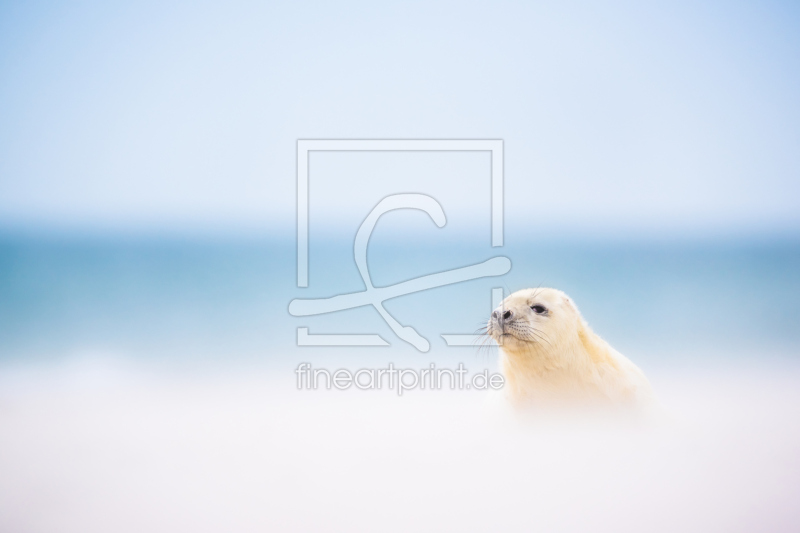 frei w&auml;hlbarer Bildausschnitt f&uuml;r Ihr Bild auf Label