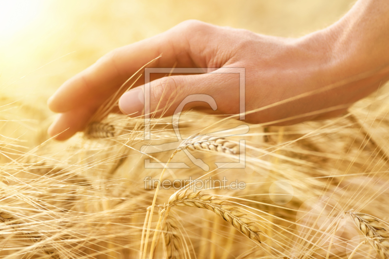 frei wählbarer Bildausschnitt für Ihr Bild auf Label