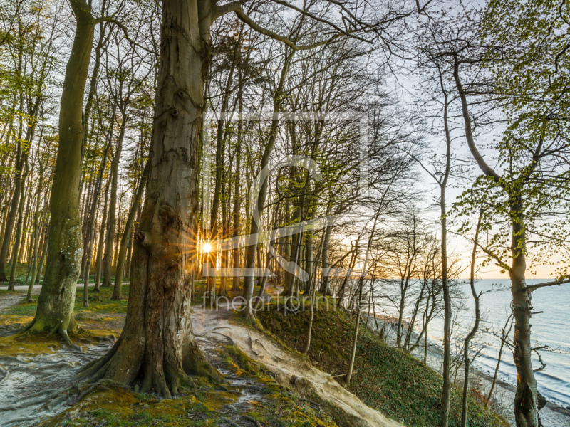 frei w&auml;hlbarer Bildausschnitt f&uuml;r Ihr Bild auf Label