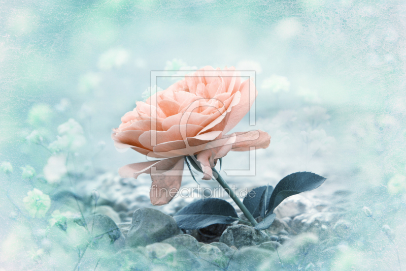 frei w&auml;hlbarer Bildausschnitt f&uuml;r Ihr Bild auf Label