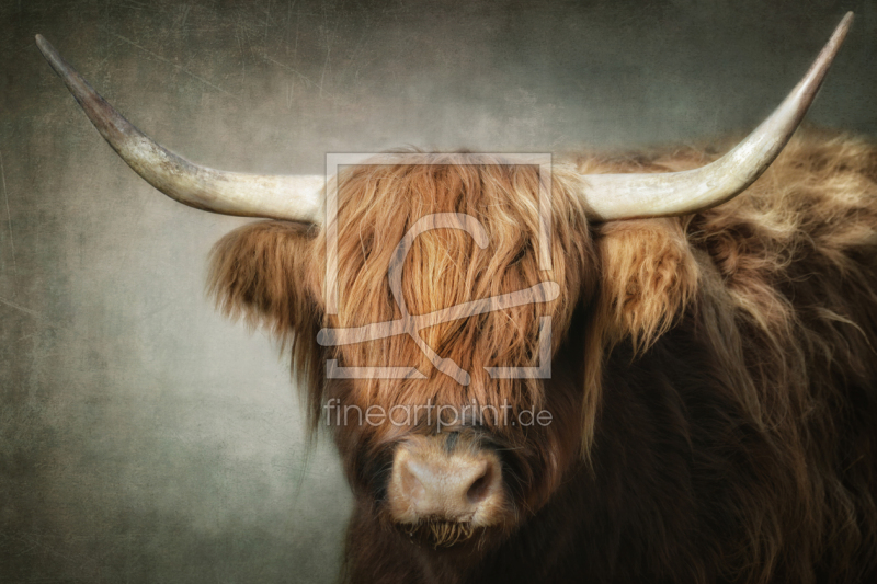 frei w&auml;hlbarer Bildausschnitt f&uuml;r Ihr Bild auf Label