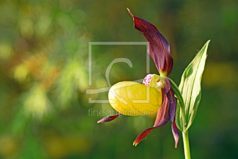 frei w&auml;hlbarer Bildausschnitt f&uuml;r Ihr Bild auf Label