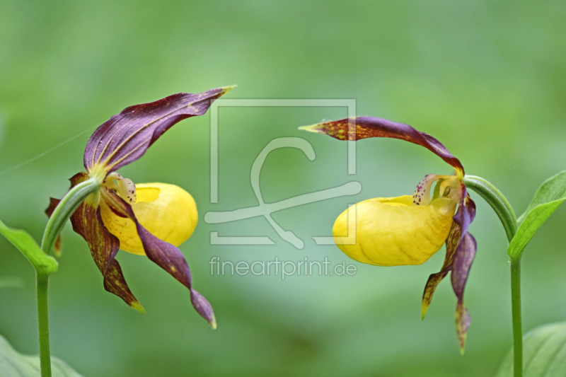 frei w&auml;hlbarer Bildausschnitt f&uuml;r Ihr Bild auf Label