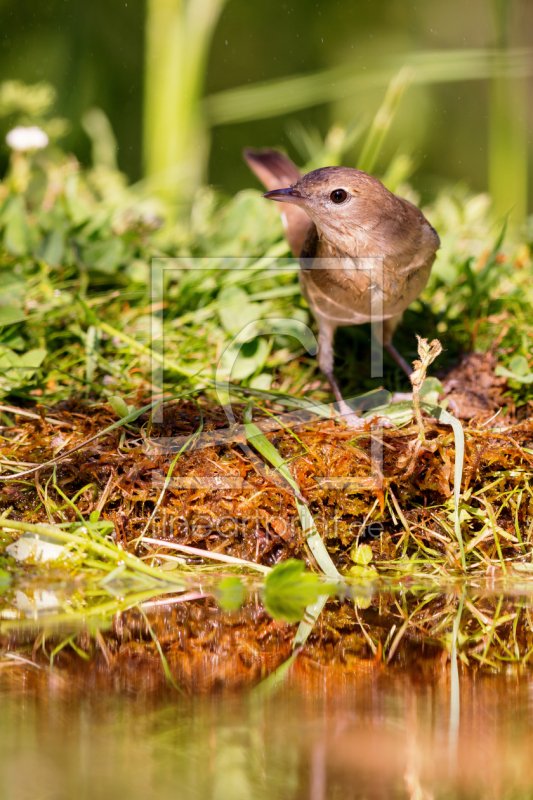frei w&auml;hlbarer Bildausschnitt f&uuml;r Ihr Bild auf Label