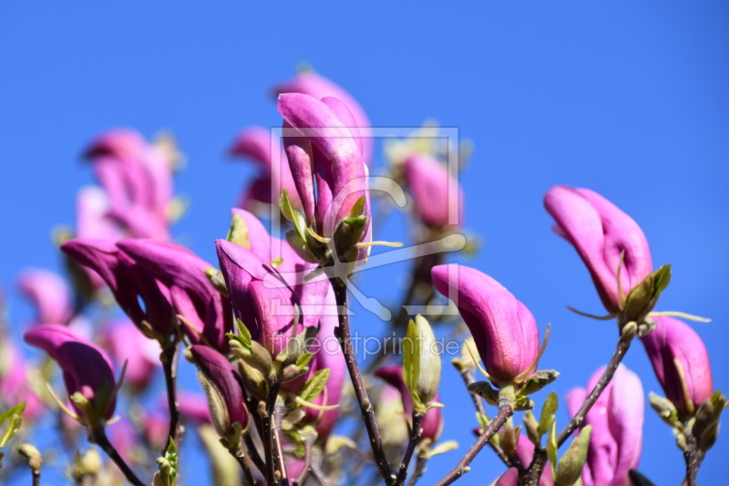 frei w&auml;hlbarer Bildausschnitt f&uuml;r Ihr Bild auf Label