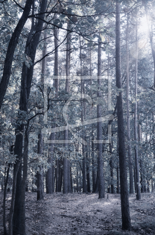 frei w&auml;hlbarer Bildausschnitt f&uuml;r Ihr Bild auf Label