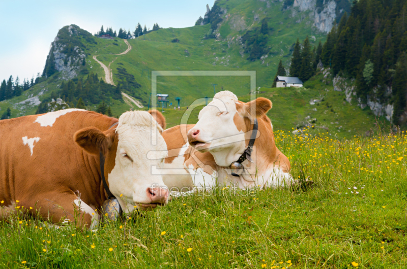 frei w&auml;hlbarer Bildausschnitt f&uuml;r Ihr Bild auf Label