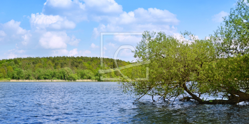 frei wählbarer Bildausschnitt für Ihr Bild auf Label