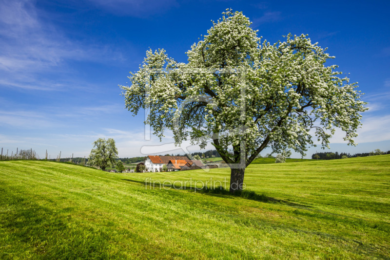frei wählbarer Bildausschnitt für Ihr Bild auf Label