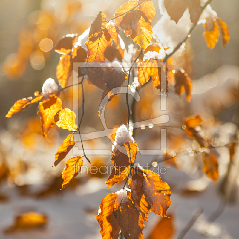 frei w&auml;hlbarer Bildausschnitt f&uuml;r Ihr Bild auf Label