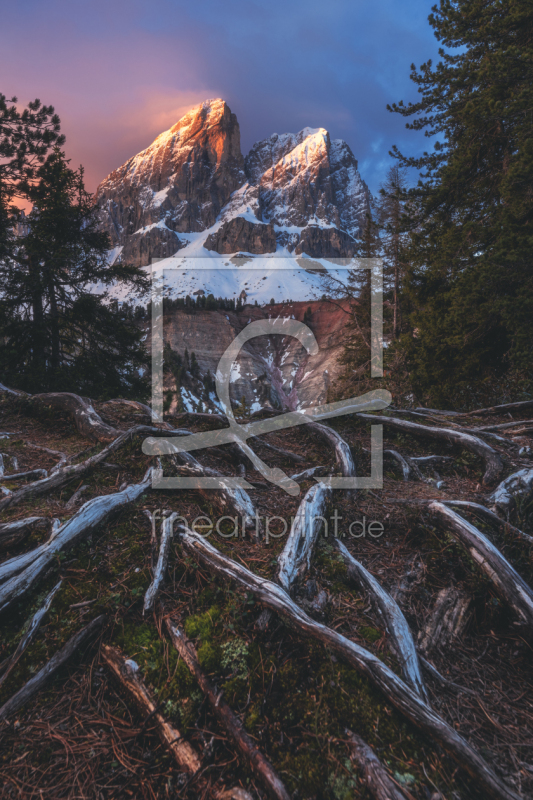 frei w&auml;hlbarer Bildausschnitt f&uuml;r Ihr Bild auf Label