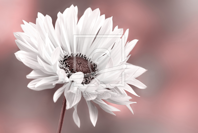 frei w&auml;hlbarer Bildausschnitt f&uuml;r Ihr Bild auf Label